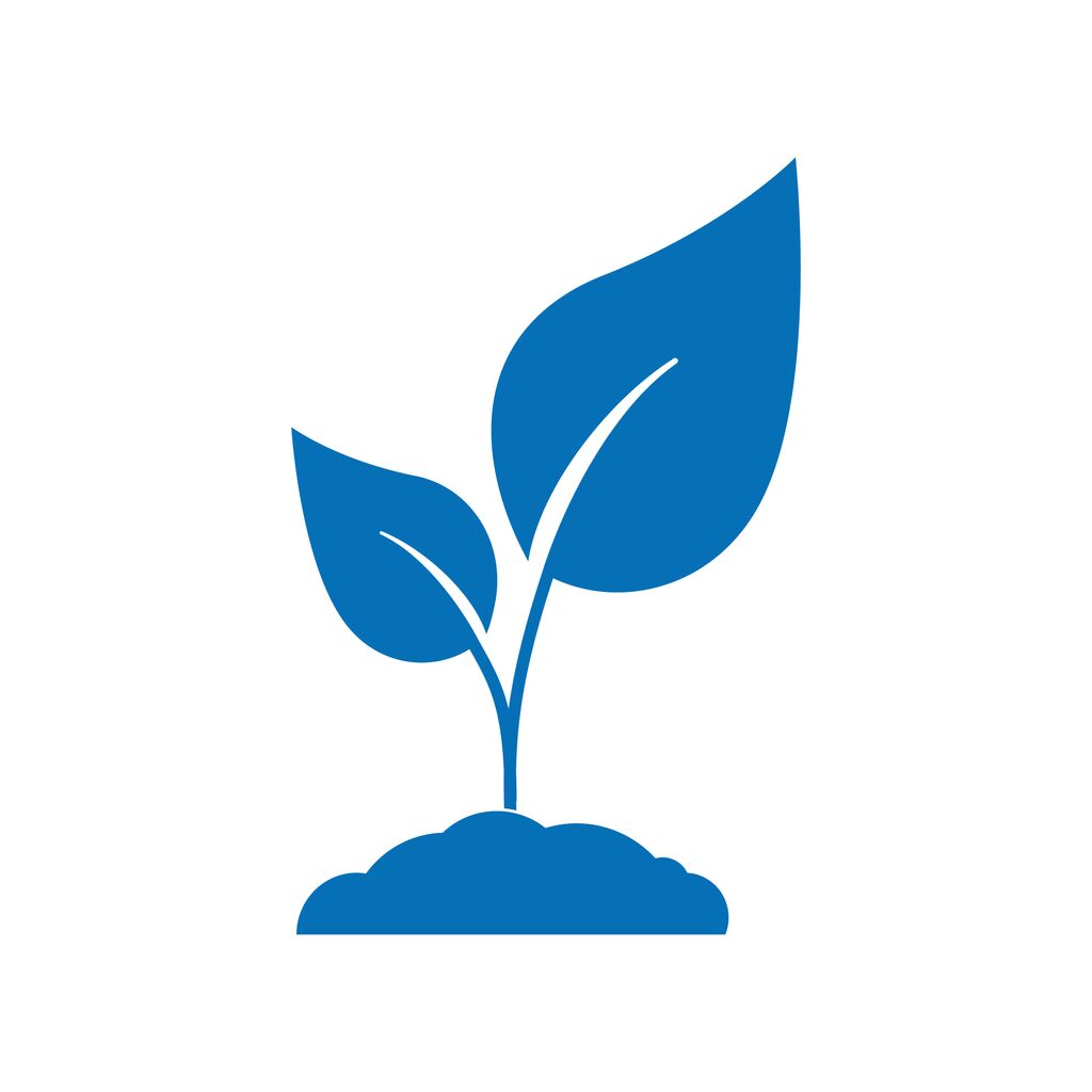 a blue plant growing out of the ground